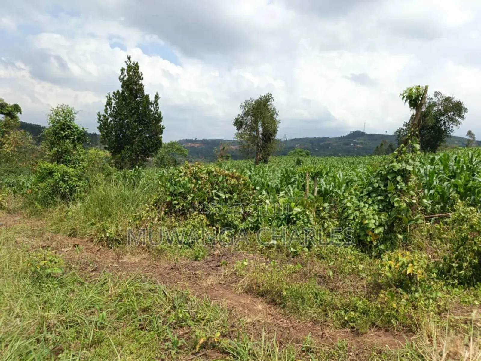 Land on Sale in Bombo Kalule