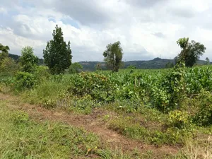 Land on Sale in Bombo Kalule