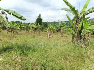 Land on Sale in Bombo Kalule