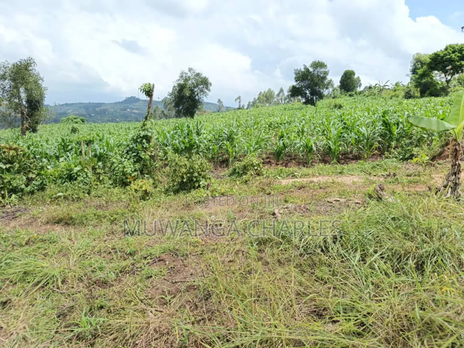 Land on Sale in Bombo Kalule