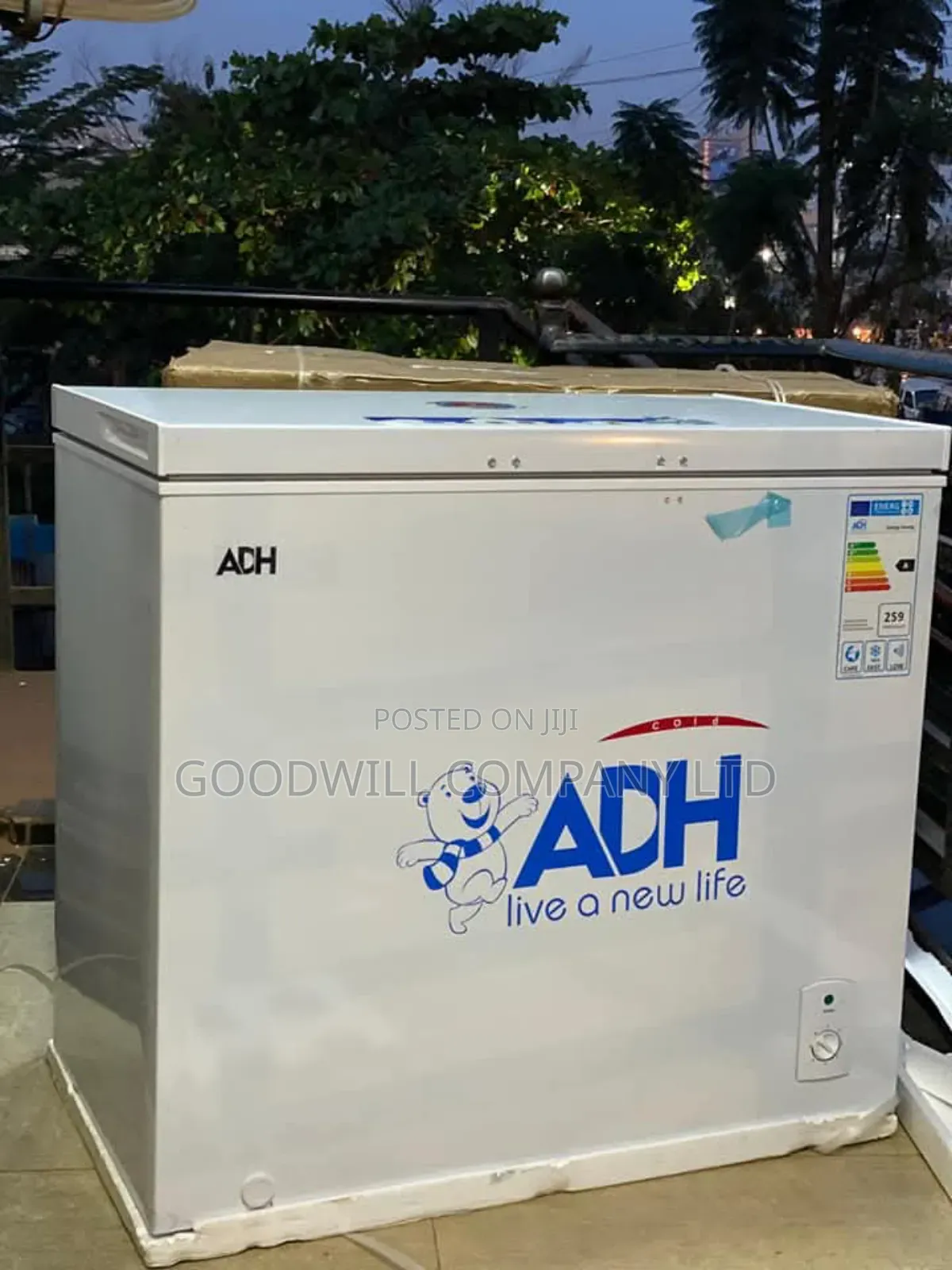 250 Liters Adh Chest Freezer Firstmodel