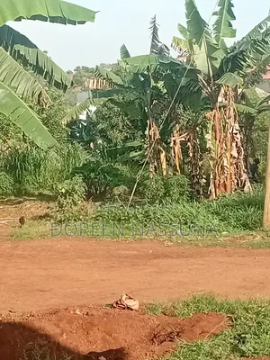 Plots and Land at D Lands and Plots Nakawuka