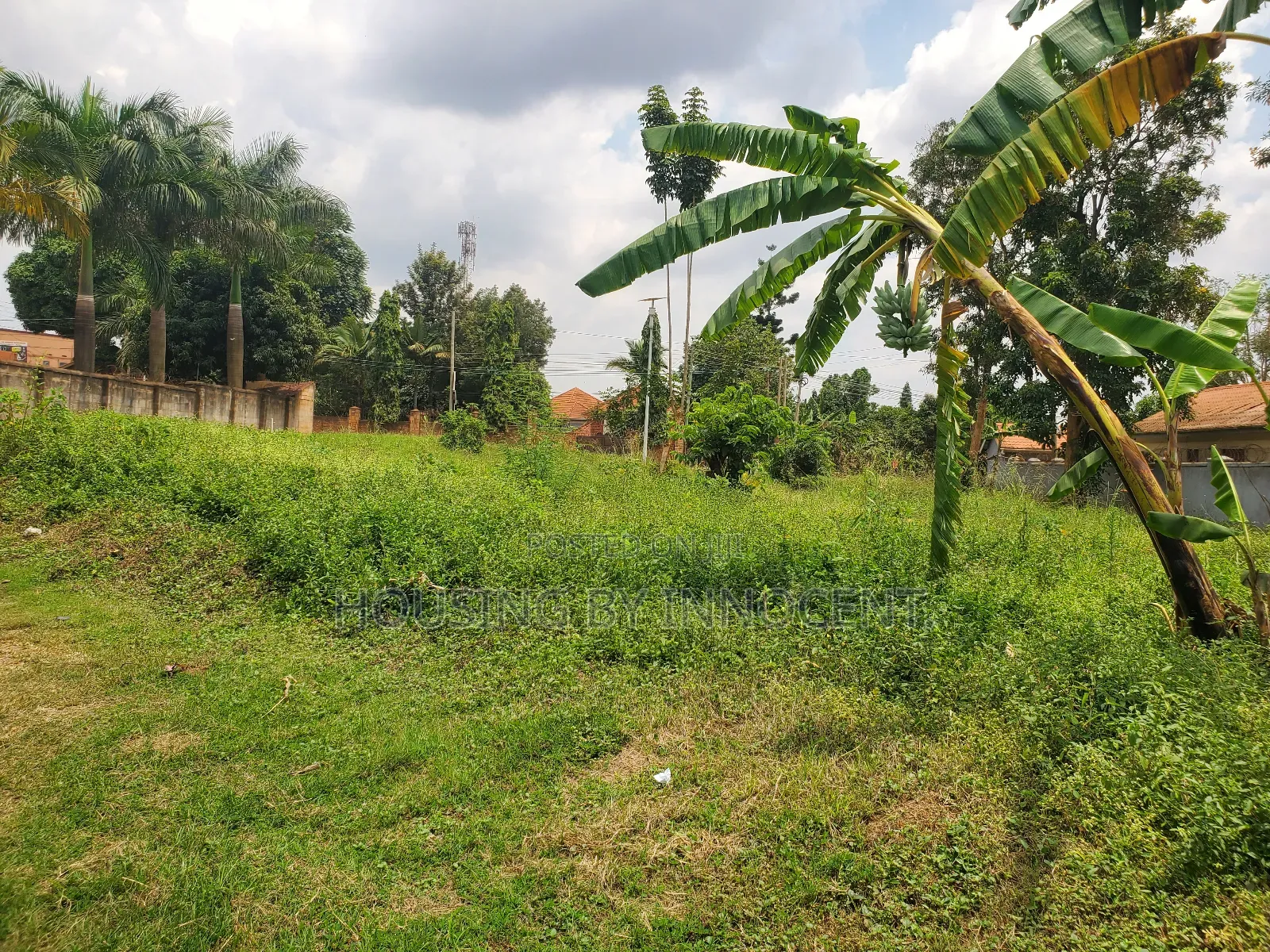 Prime Commercial Use Land for Rent on Kulambiiro Main Road.