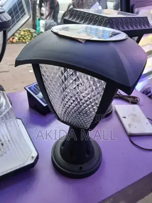 Solar Gate and Wall Pillar Light