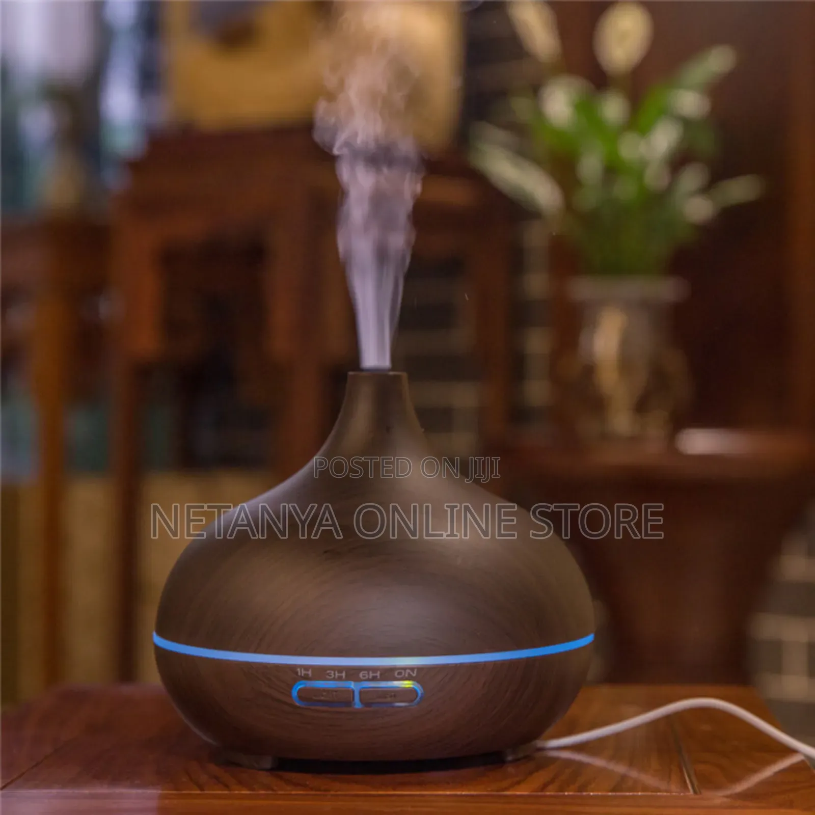 Classic Ultrasonic Aroma Humidifier
