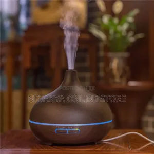 Classic Ultrasonic Aroma Humidifier