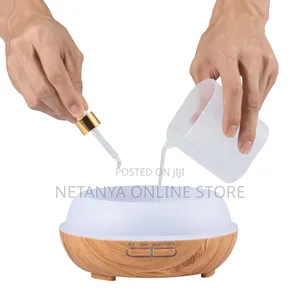 Classic Ultrasonic Aroma Humidifier