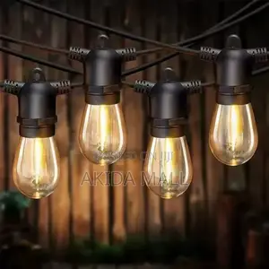 5mtrs 10bulbs Led Electric Outdoor Decorative String Lights