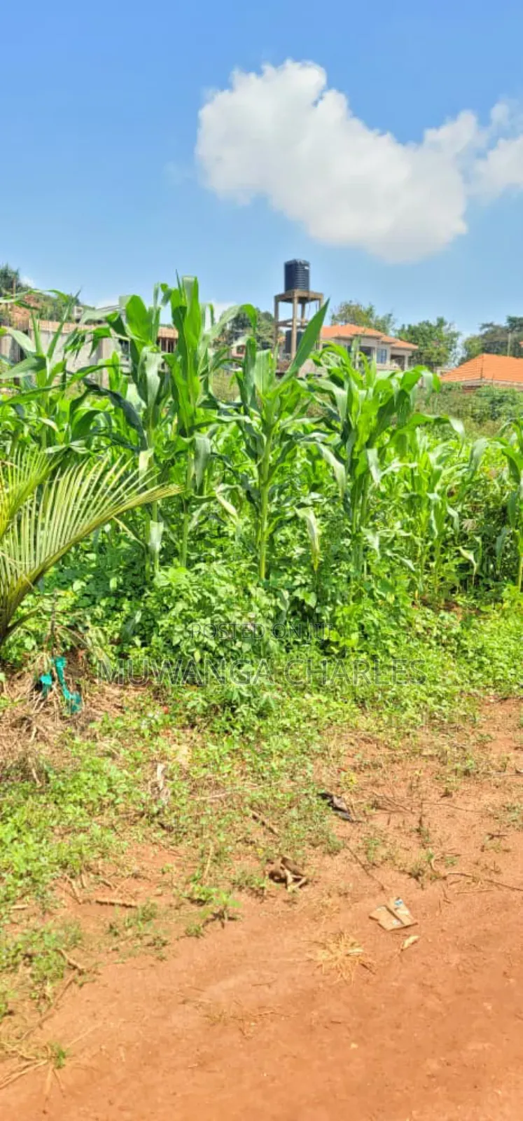 Plot on Sale in Kyanja