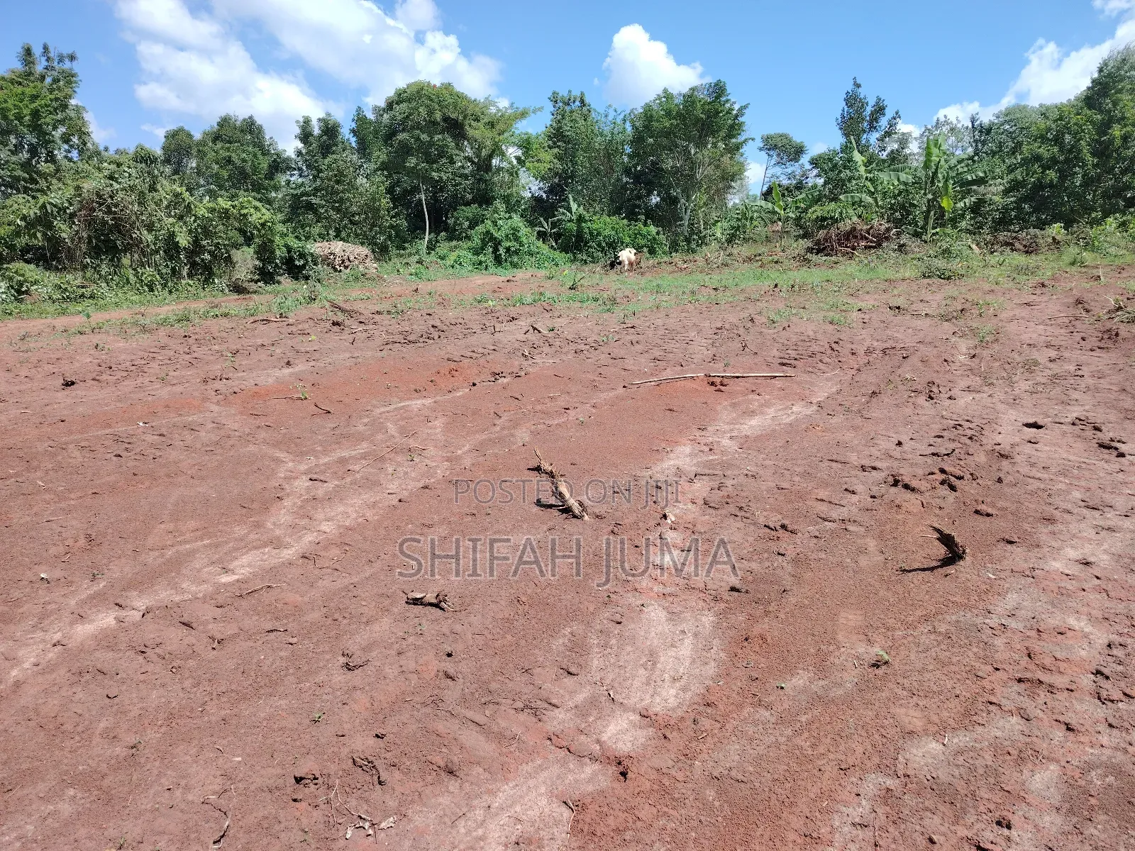 30 by 45 Ft Plots on Quick Sale