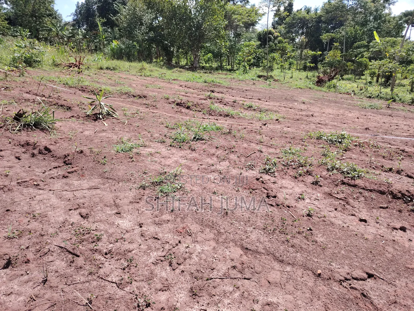 30 by 45 Ft Plots on Quick Sale
