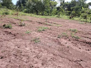 30 by 45 Ft Plots on Quick Sale