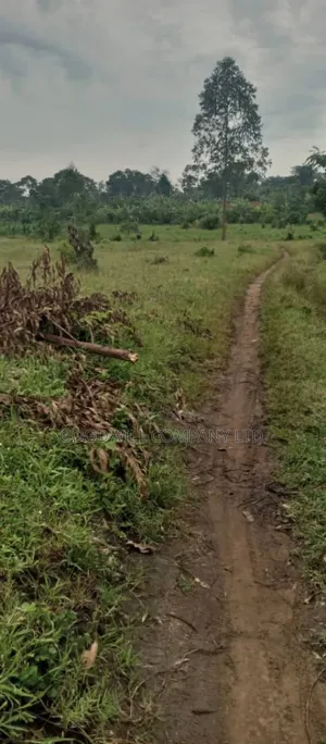 25 Acres of Land in Kakuto Luwero 10km From Luwero Kasana Town to Land