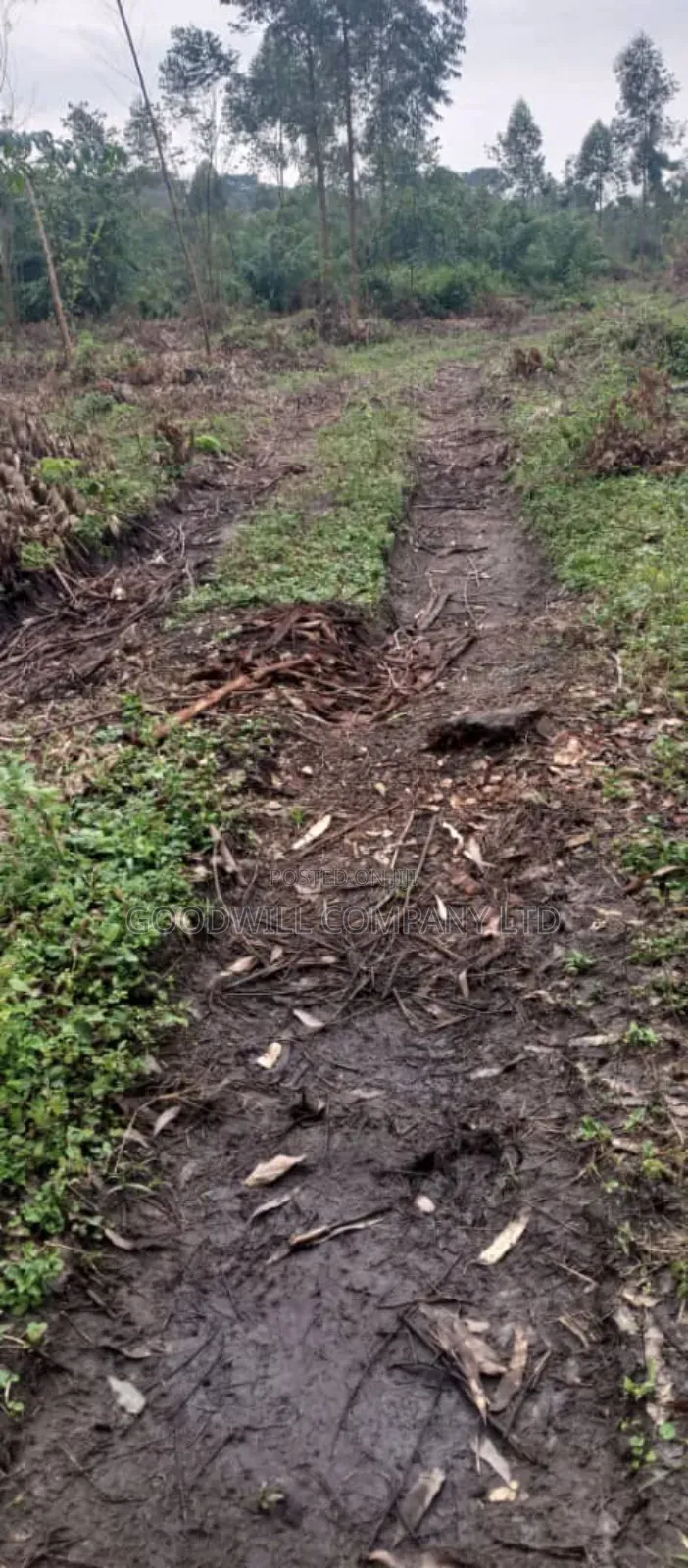 25 Acres of Land in Kakuto Luwero 10km From Luwero Kasana Town to Land