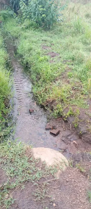 25 Acres of Land in Kakuto Luwero 10km From Luwero Kasana Town to Land
