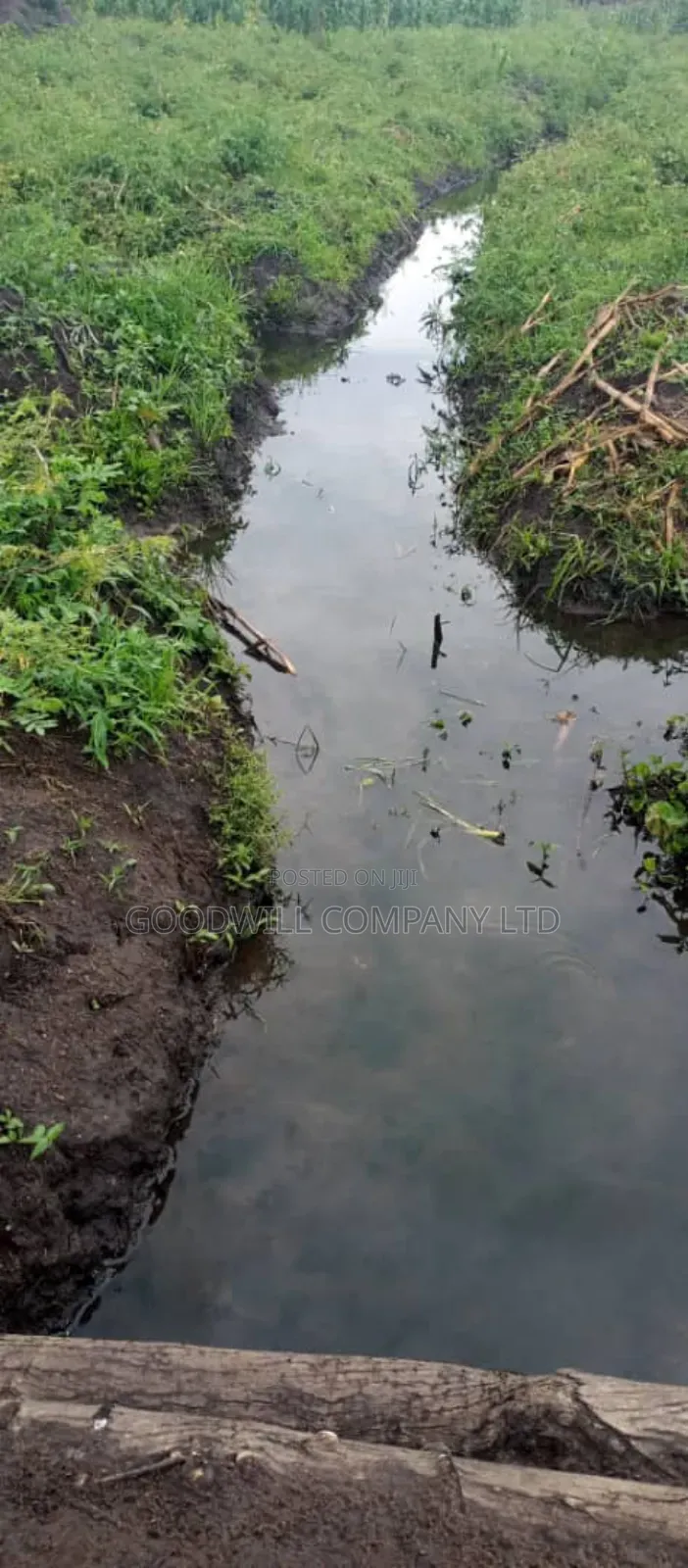 25 Acres of Land in Kakuto Luwero 10km From Luwero Kasana Town to Land
