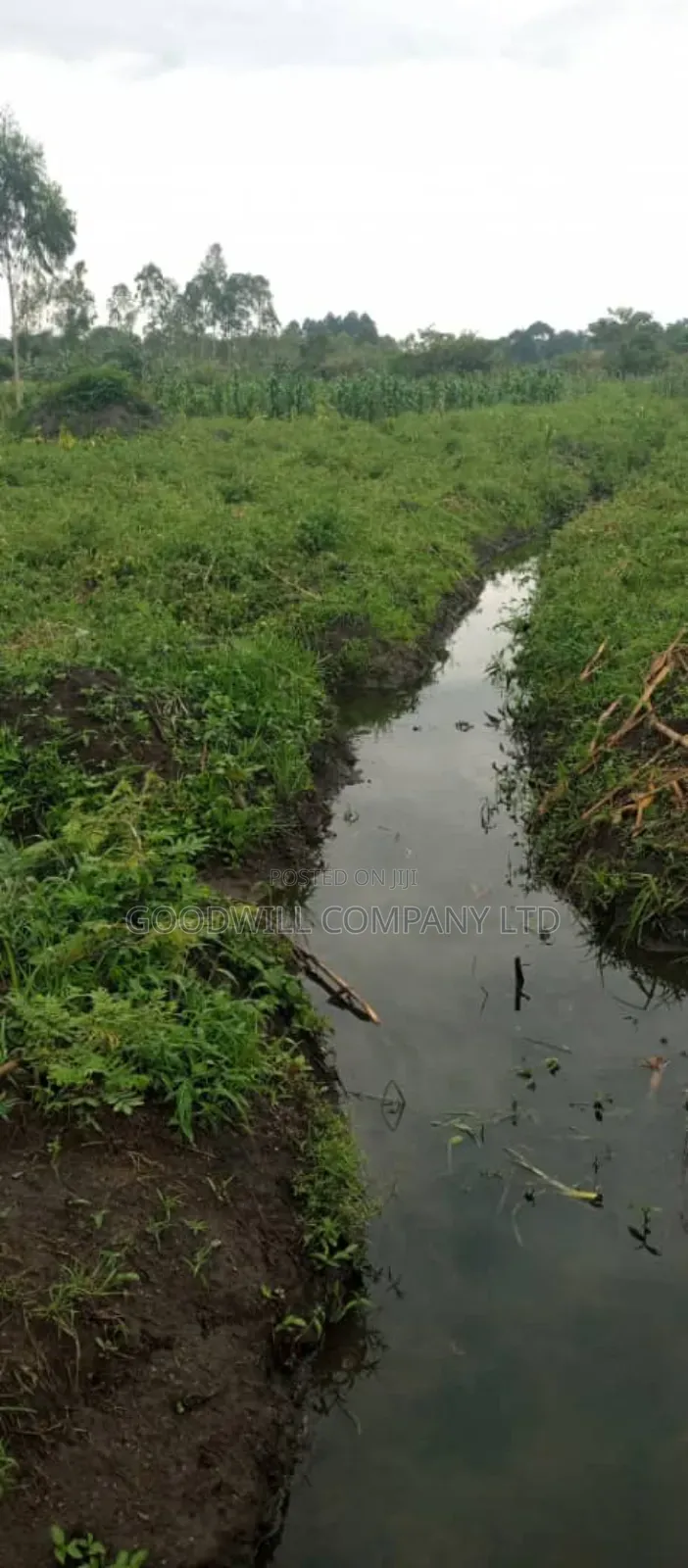 25 Acres of Land in Kakuto Luwero 10km From Luwero Kasana Town to Land