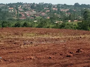 Matuga Town Estate With Affordable Plots at Gie Away Prices