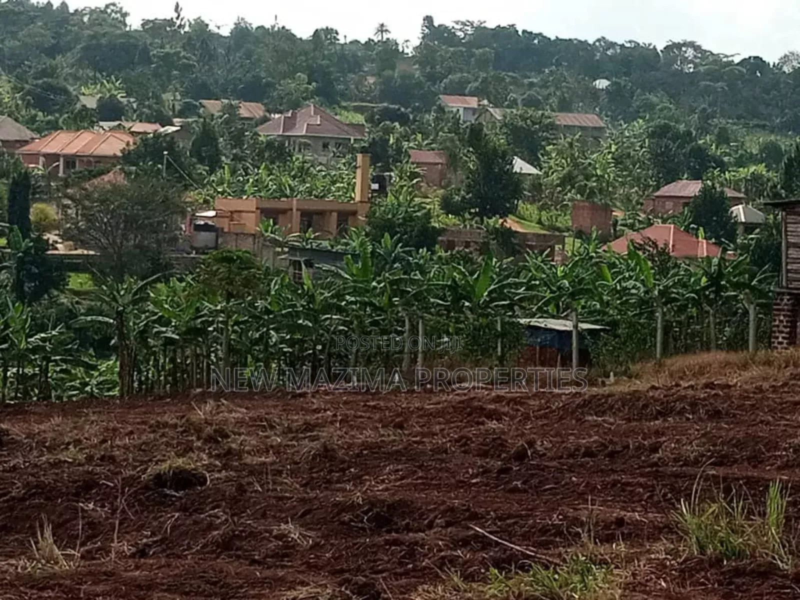 Matuga Town Estate With Affordable Plots at Gie Away Prices