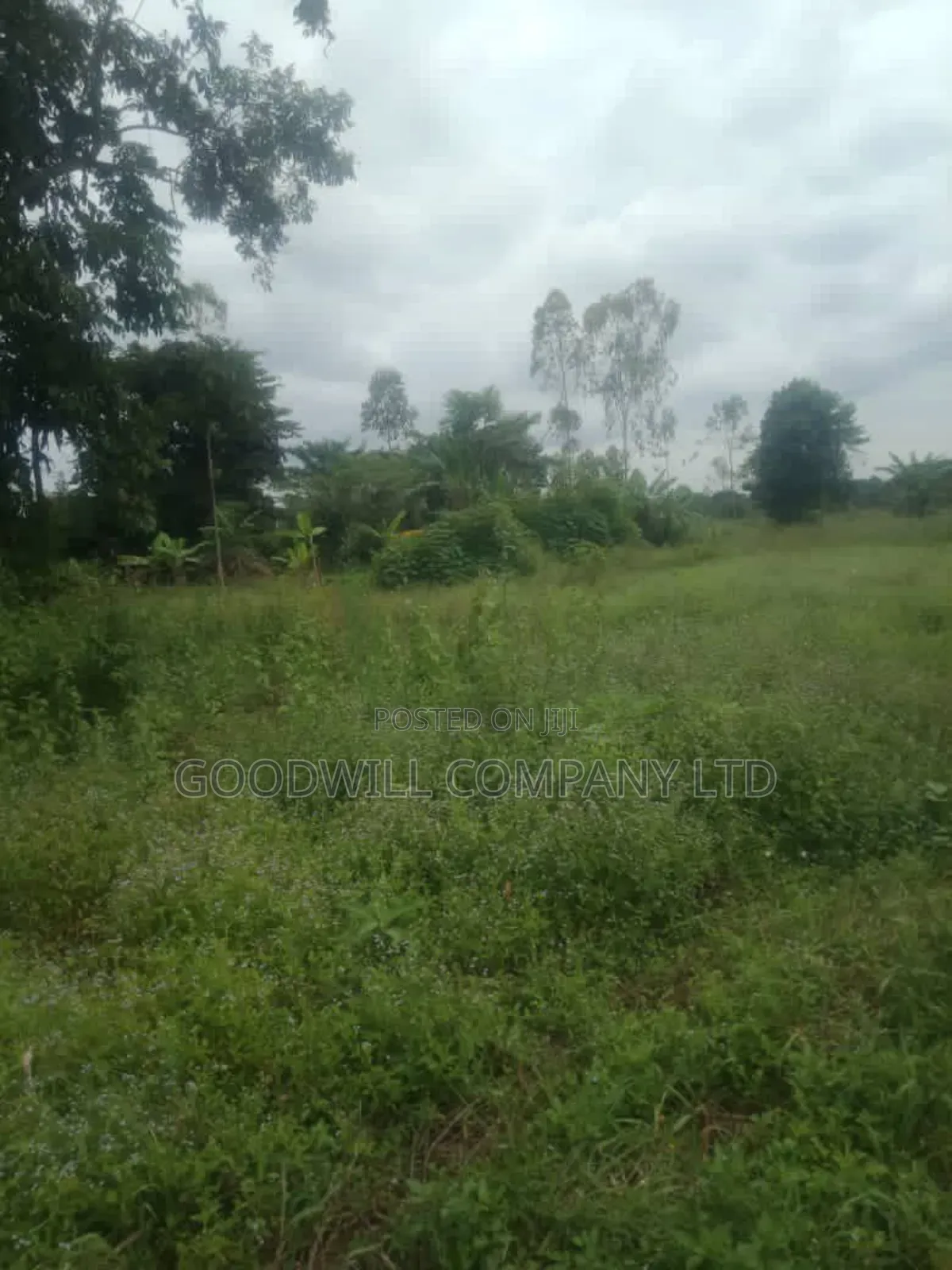 120 Acres of Land in Nakaseke Ngoma.