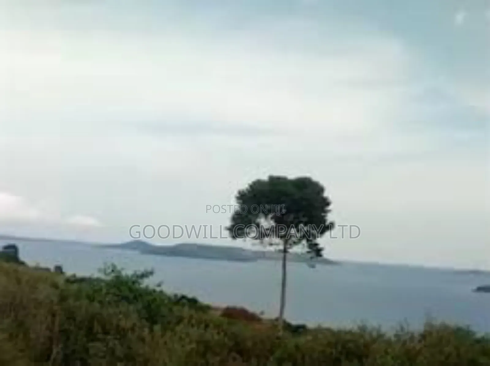 35 Acres of Land in Katosi Lulagwe Touching on Lake Shores of Victoria
