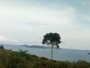 35 Acres of Land in Katosi Lulagwe Touching on Lake Shores of Victoria