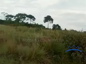 35 Acres of Land in Katosi Lulagwe Touching on Lake Shores of Victoria