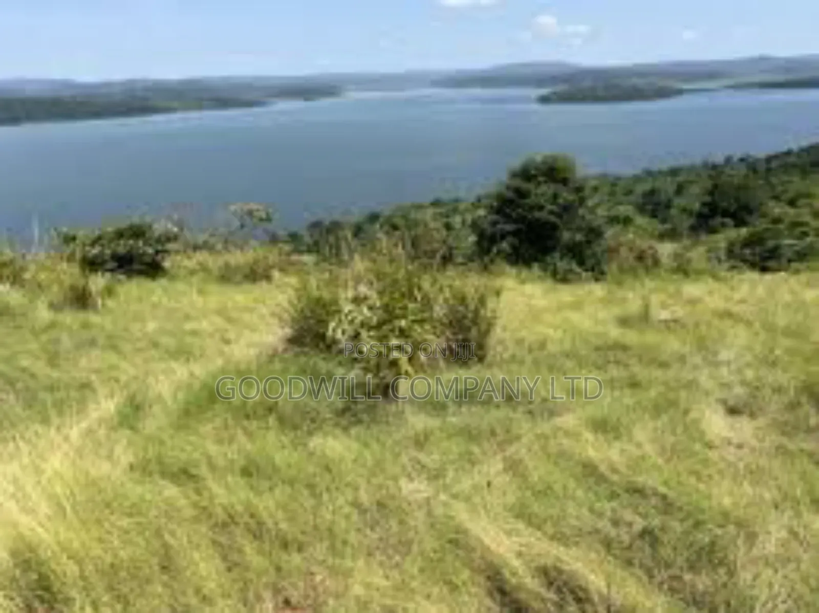 35 Acres of Land in Katosi Lulagwe Touching on Lake Shores of Victoria