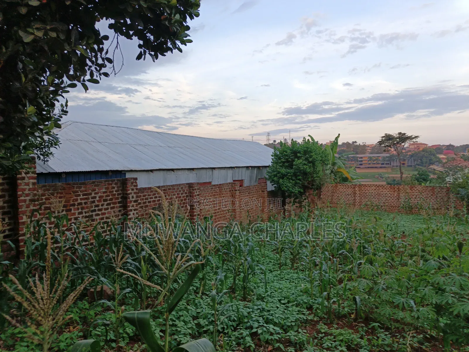 25decimals of Land on Sale in Kyambogo