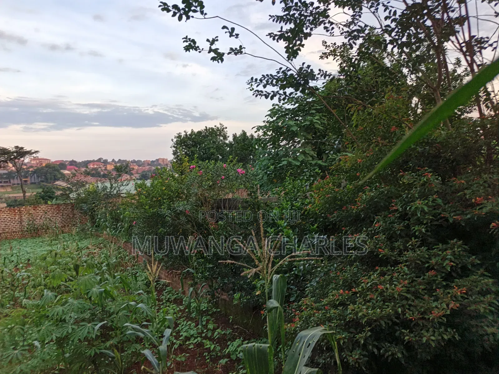 25decimals of Land on Sale in Kyambogo