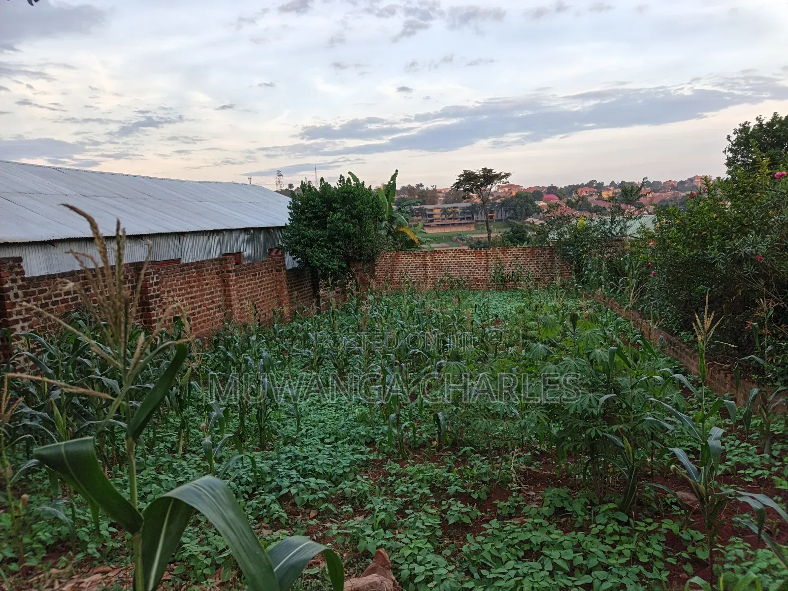 25decimals of Land on Sale in Kyambogo