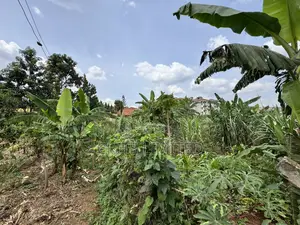 50 Decimals of Private Mailo Land for Sale – Kiwatule, Valley Road