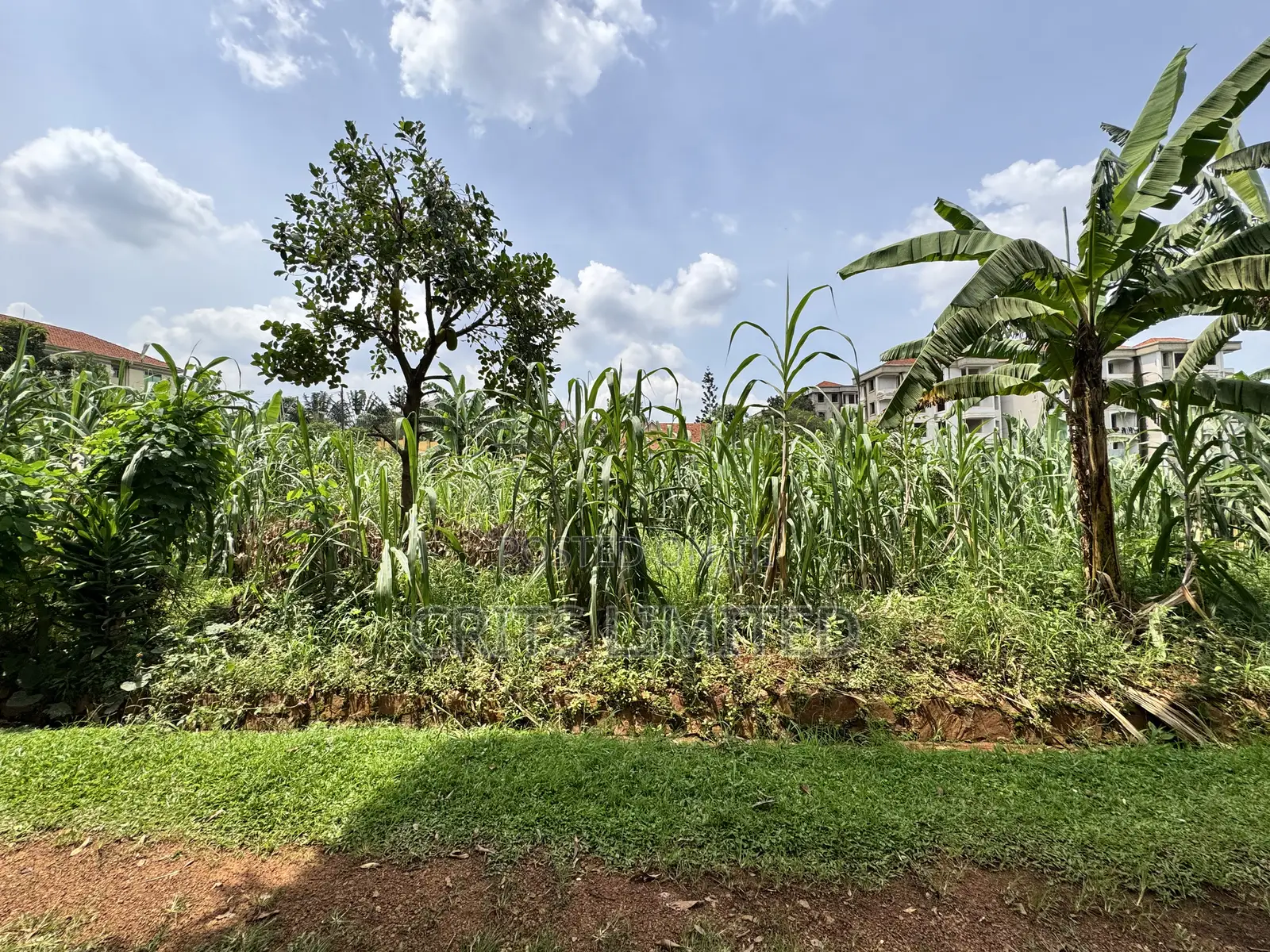 50 Decimals of Private Mailo Land for Sale – Kiwatule, Valley Road