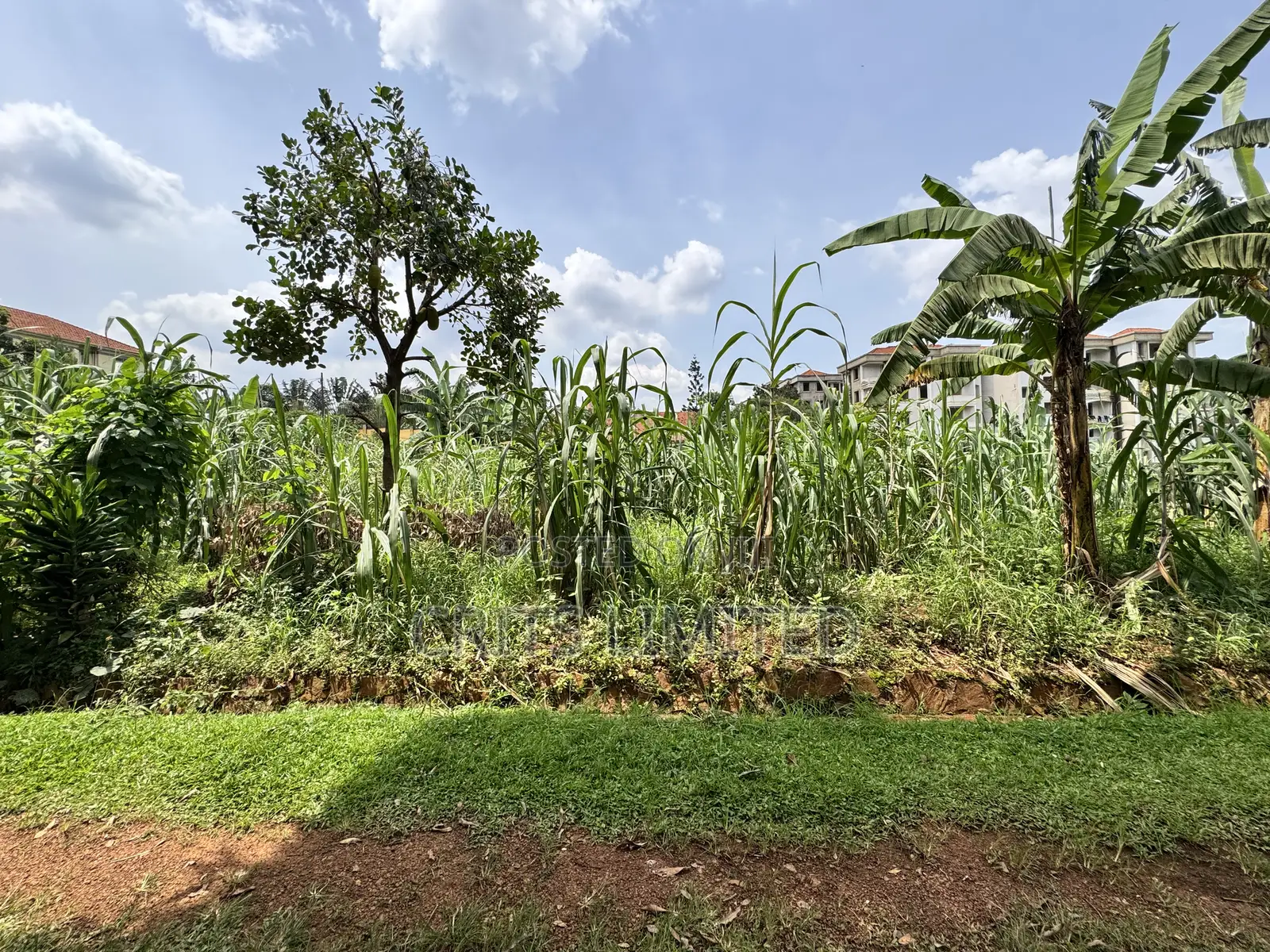 50 Decimals of Private Mailo Land for Sale – Kiwatule, Valley Road