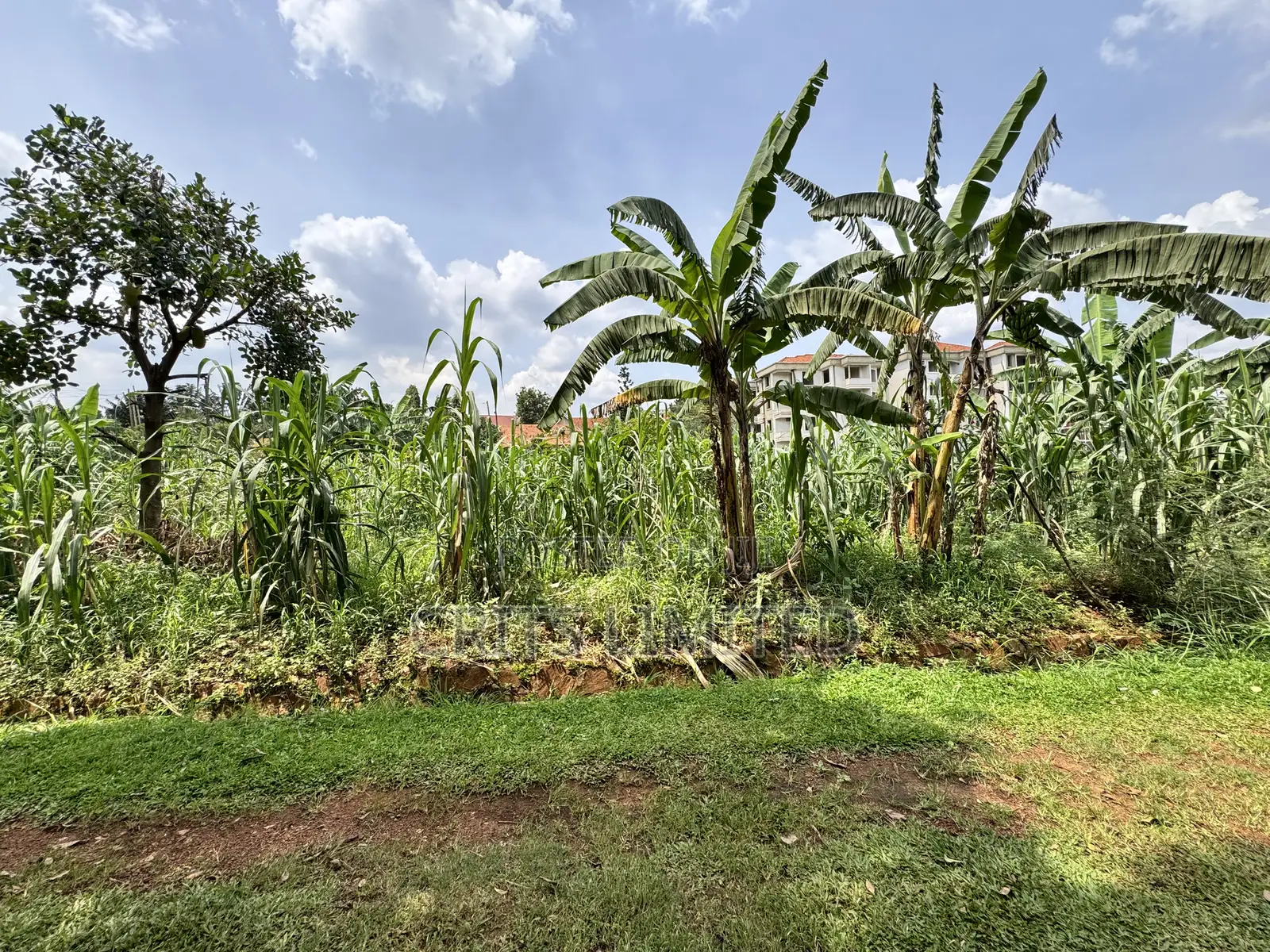 50 Decimals of Private Mailo Land for Sale – Kiwatule, Valley Road