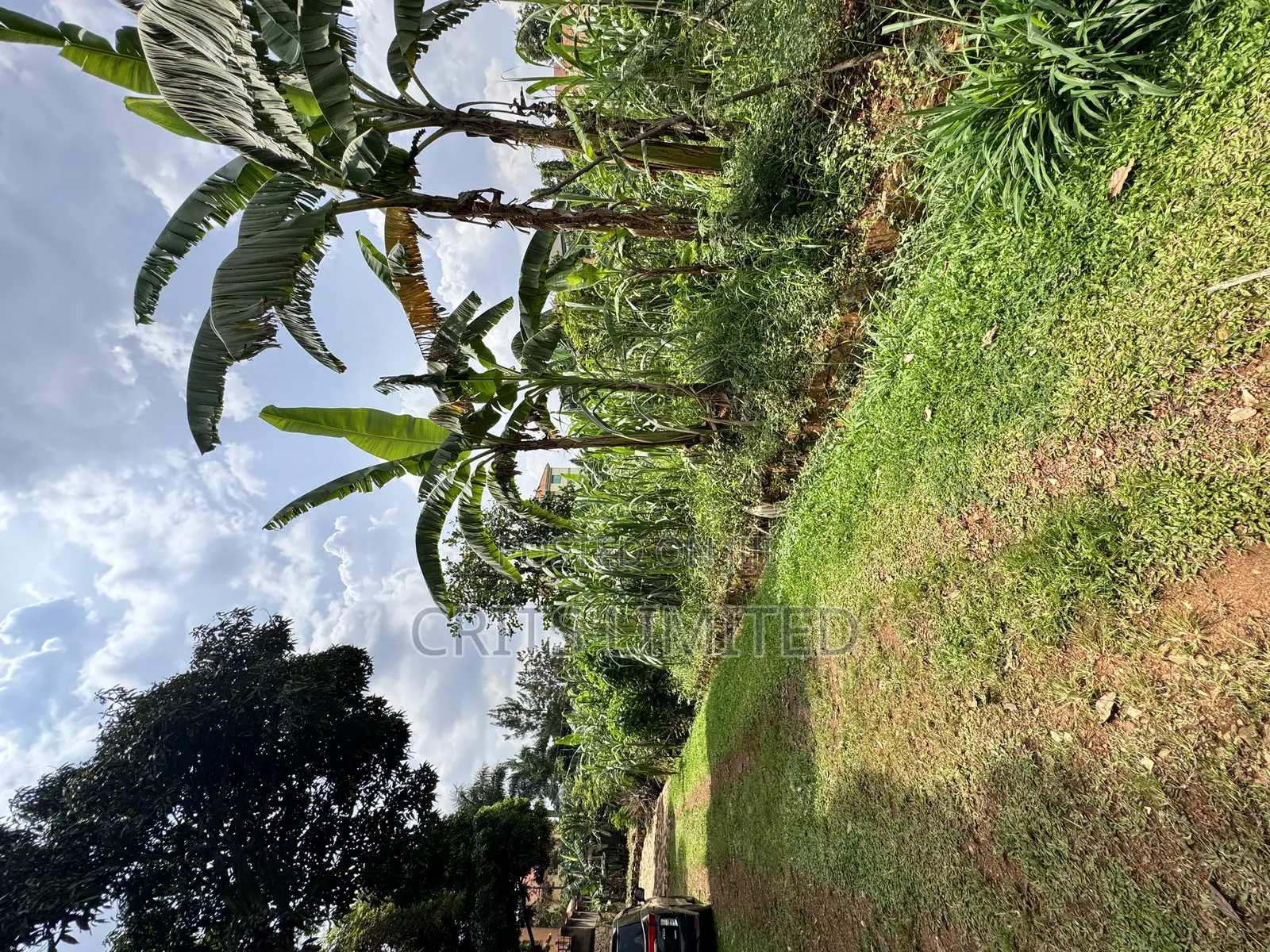 50 Decimals of Private Mailo Land for Sale – Kiwatule, Valley Road