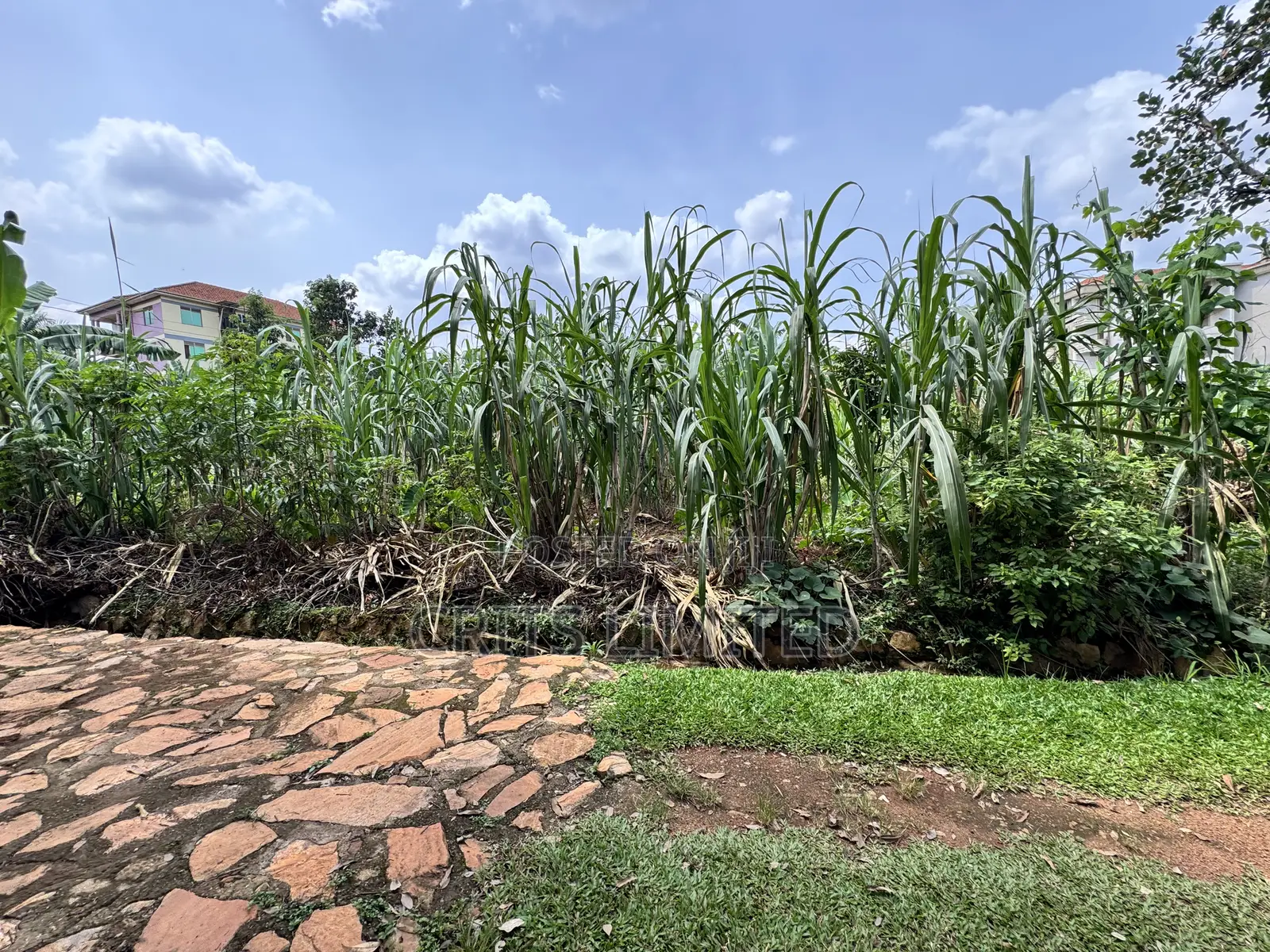 50 Decimals of Private Mailo Land for Sale – Kiwatule, Valley Road