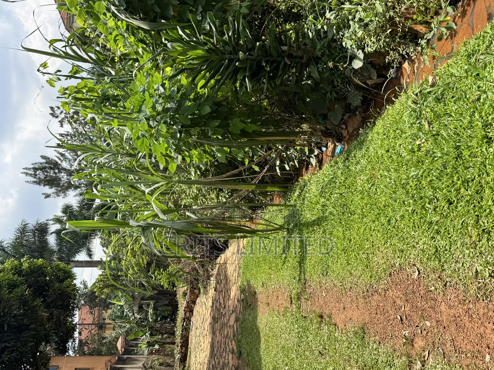 50 Decimals of Private Mailo Land for Sale – Kiwatule, Valley Road