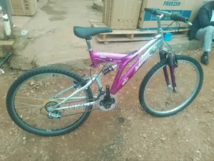 Active Mountain Bicycle