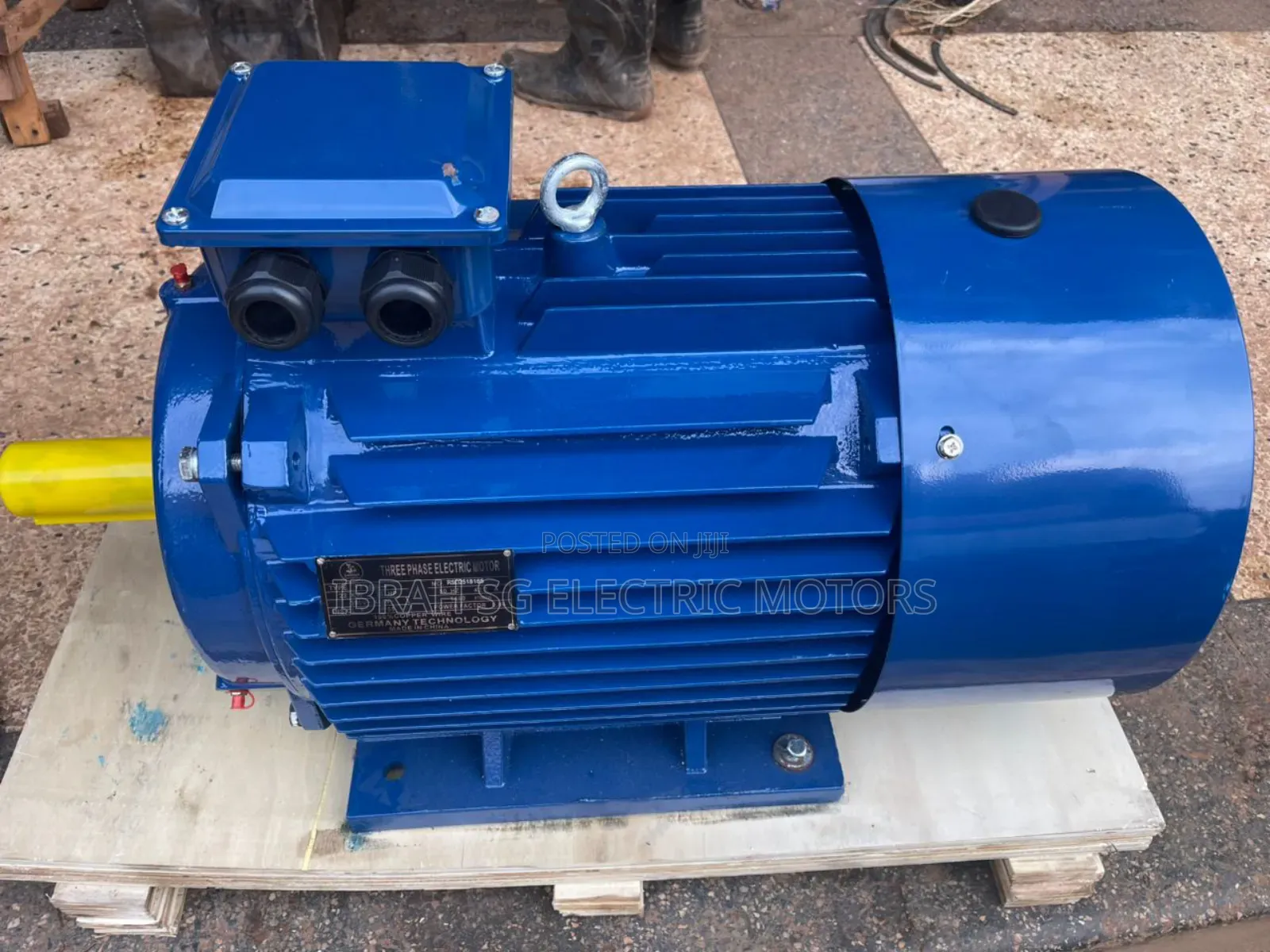3phase 30hp Normal Speed Motor