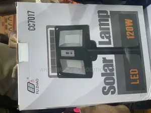 Solar Light