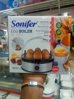 Electric Egg Boiler.