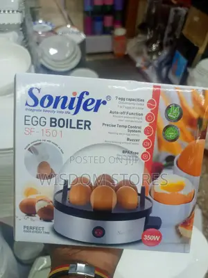 Electric Egg Boiler.