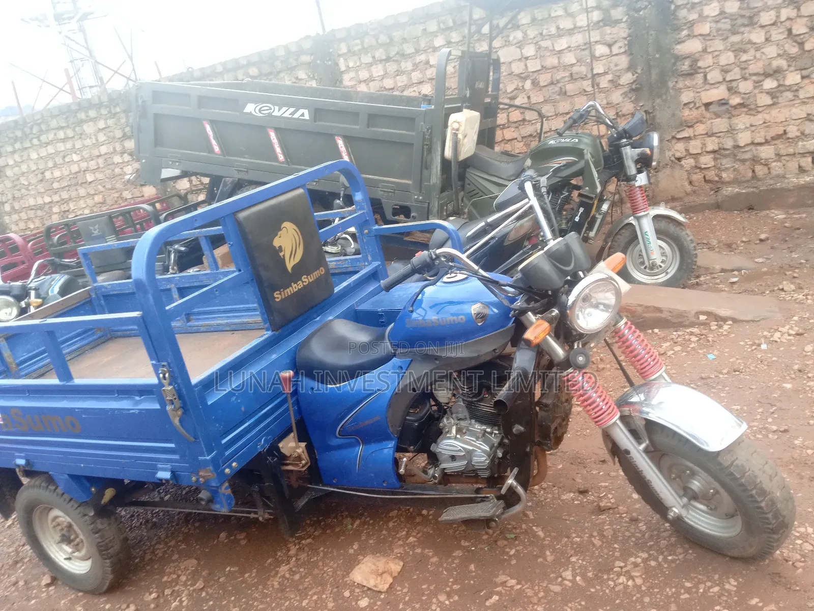 Tricycle 2024 Blue