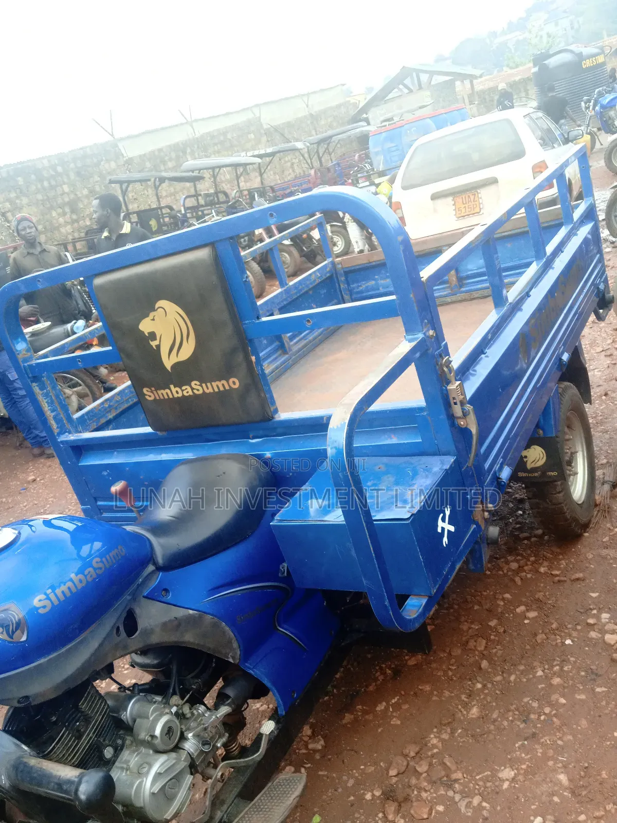 Tricycle 2024 Blue