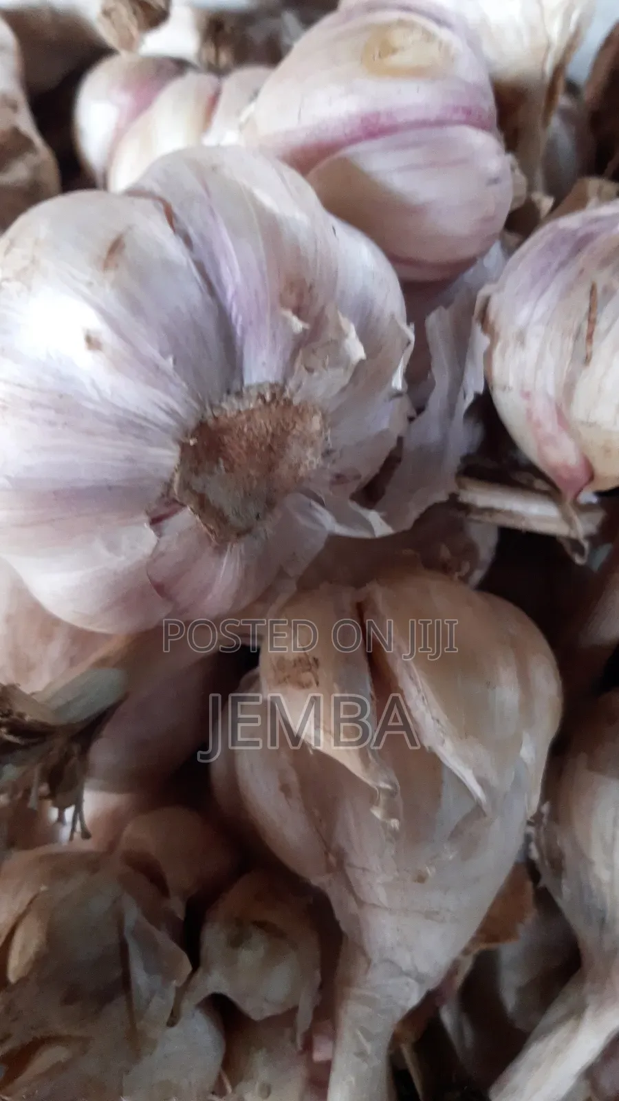 Local Garlic