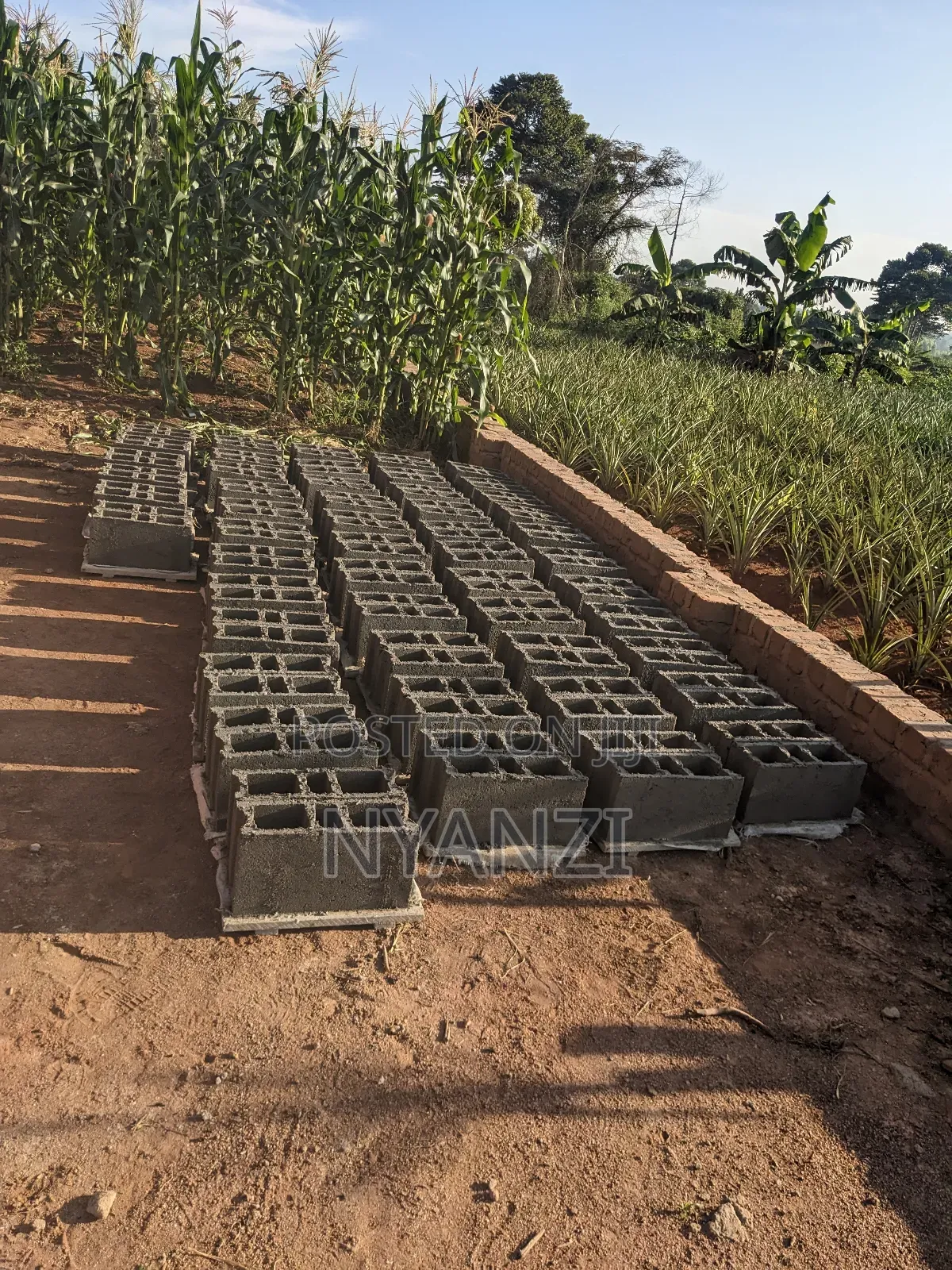 Blocks Making at Site