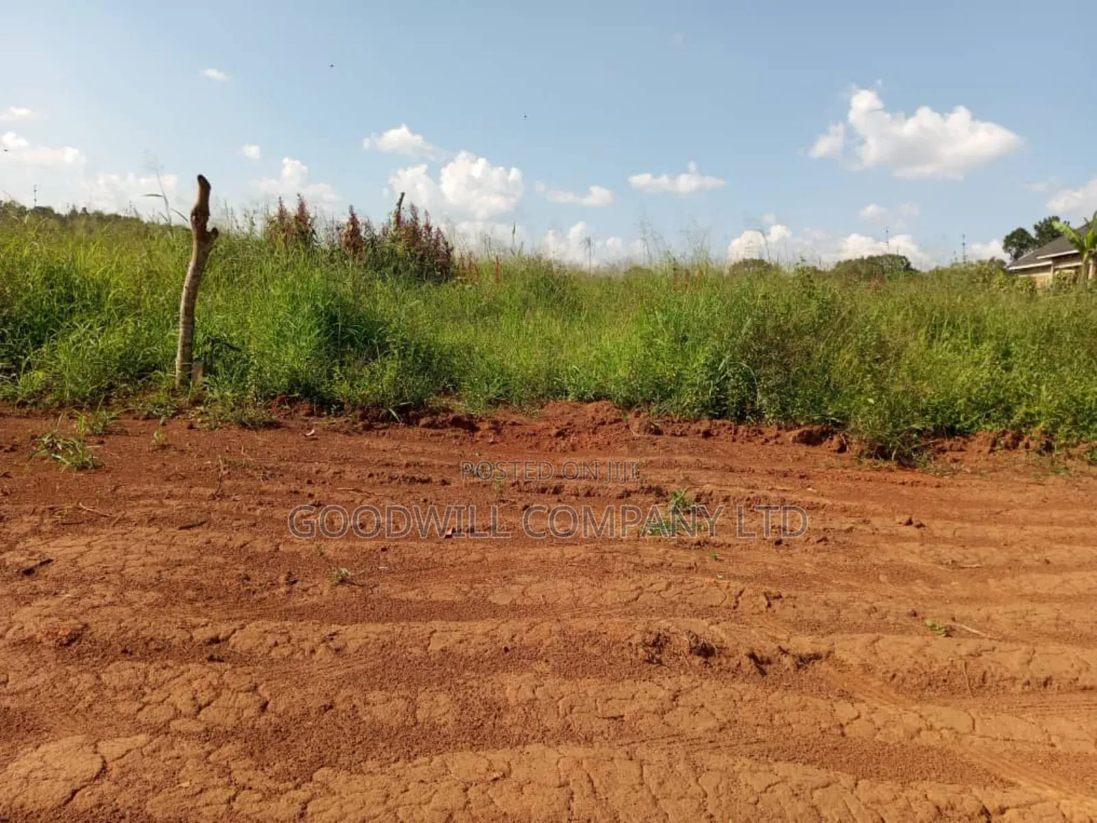 Bombo Road – Matugga: 4 Acres for Sale in Matugga – Kiryowa
