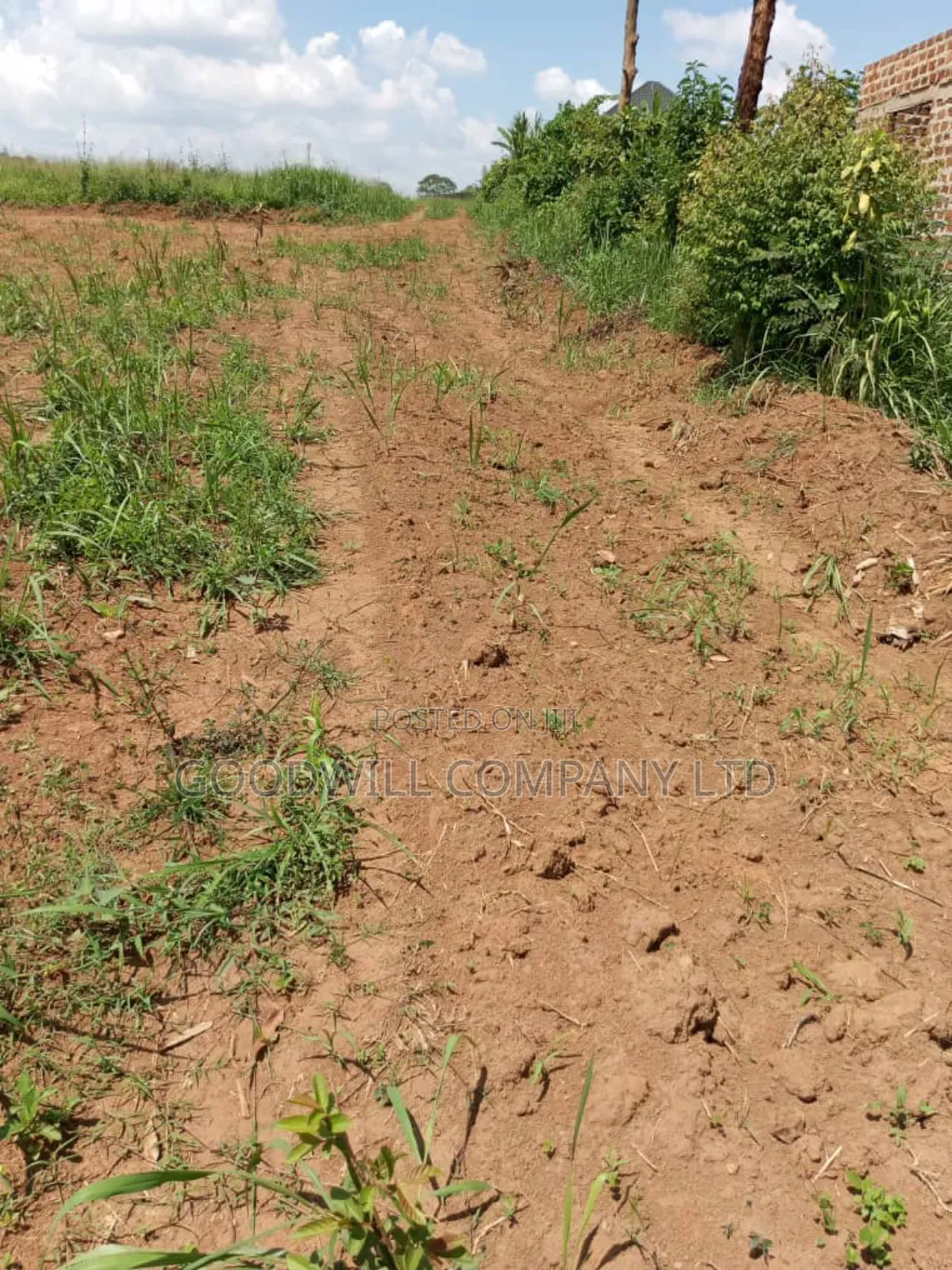 Bombo Road – Matugga: 4 Acres for Sale in Matugga – Kiryowa