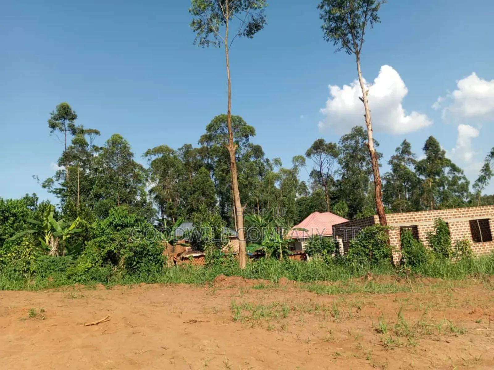 Bombo Road – Matugga: 4 Acres for Sale in Matugga – Kiryowa
